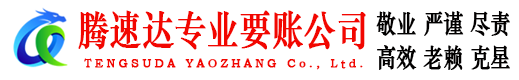 阳西腾速达清债公司